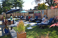 MOMENTUM AND STEPHANIE POLIAKOFF